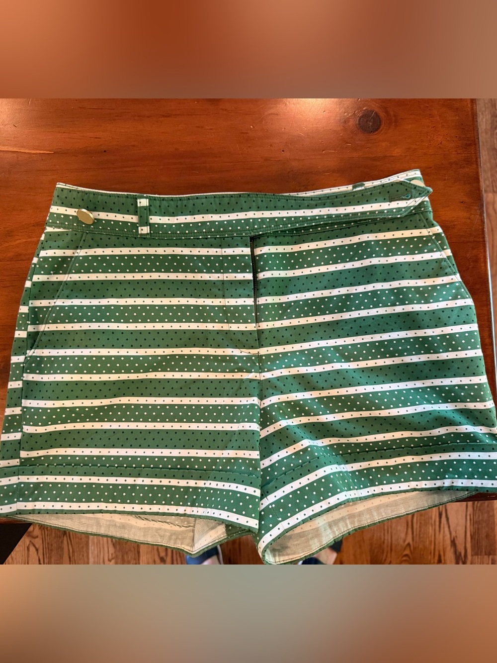 Anthropologie Meadow Rue Green and White Striped Shorts